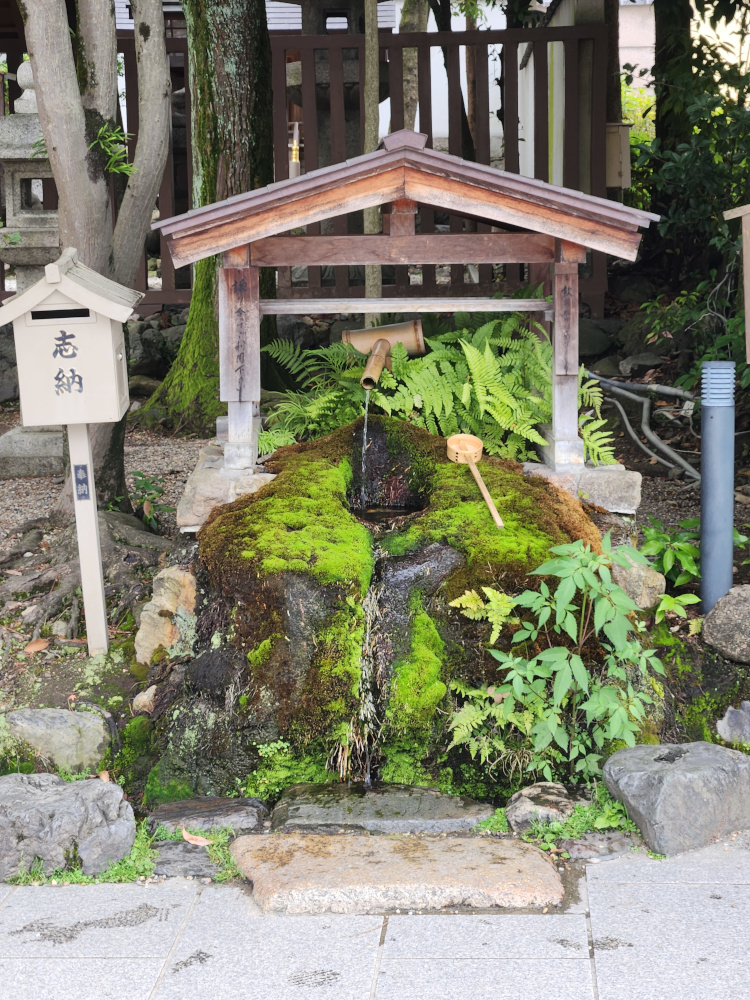 Drinking fountain