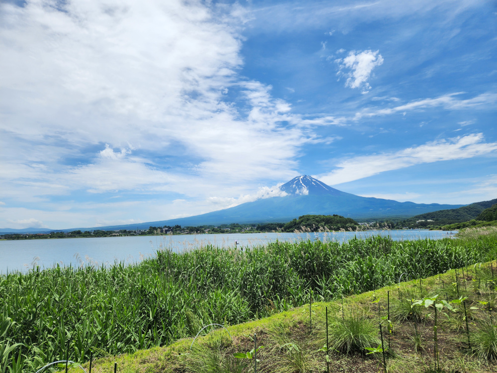 Mount Fuji