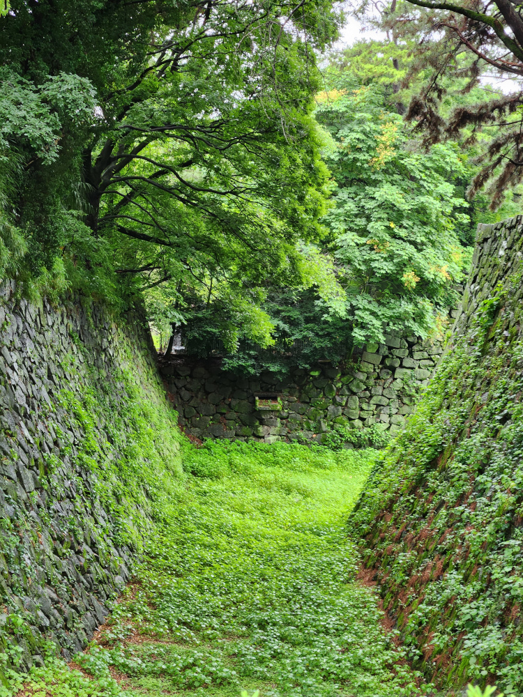 Grotto