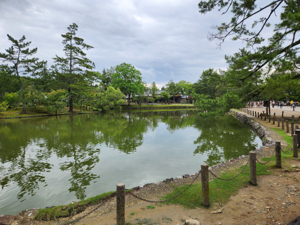 Pond