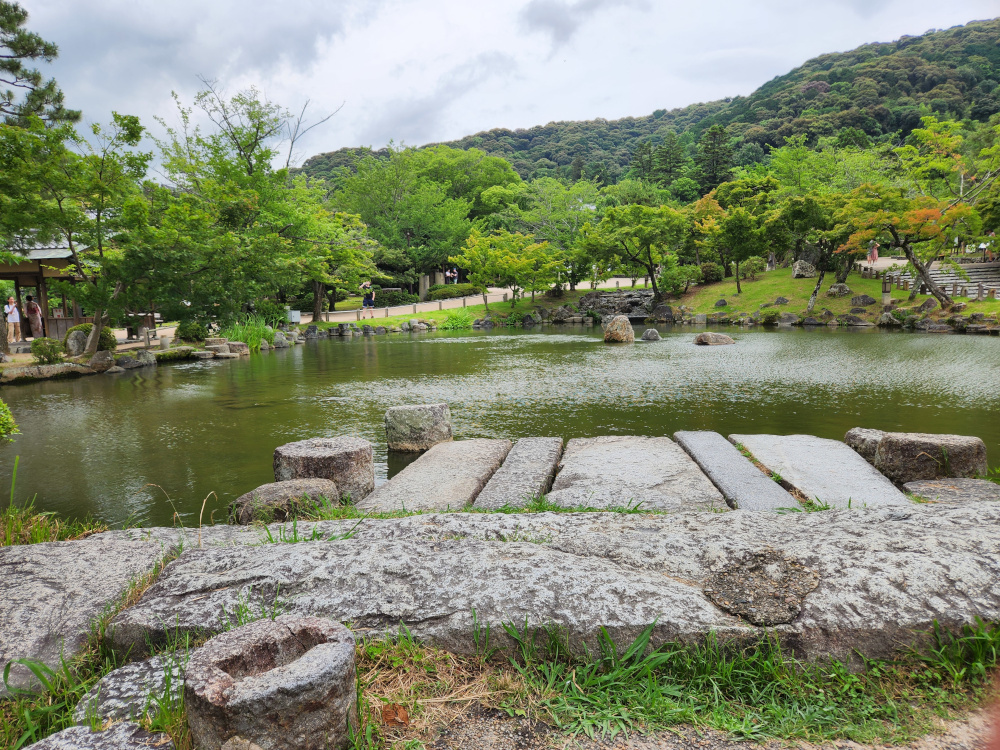 Pond