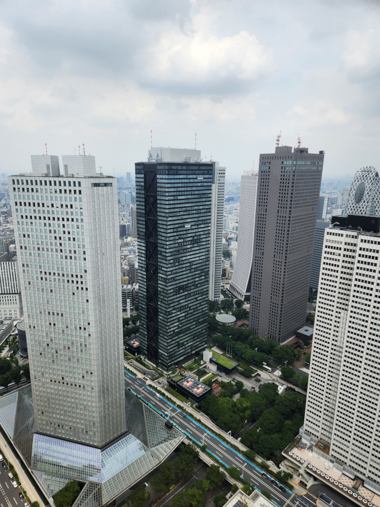 Bird's eye view of Tokyo
